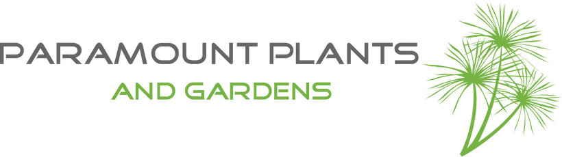 Paramount Plants Promo Codes 